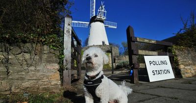 Local elections 2022: The UK's most unusual polling stations