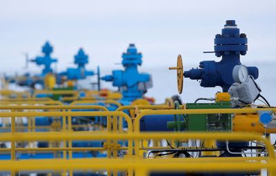 Ukraine wants complete energy embargo on Russia - senior parliamentarian