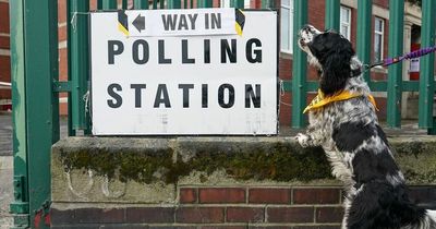 Terrifying 'Dogs at Polling Stations' warning from concerned animal charity