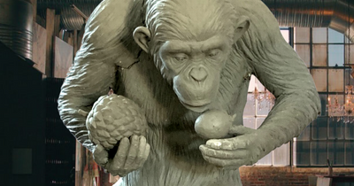 New public art exhibition raises awareness of plight of chimpanzees