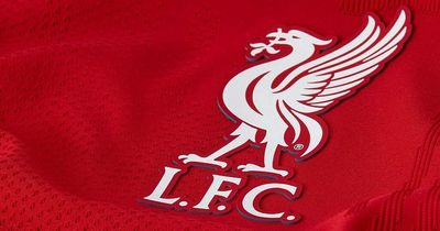 New images of Liverpool's 2022/23 Nike training kit have leaked online