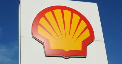 Shell and BP reveal record profit margins fuelling calls for windfall tax on oil and gas firms