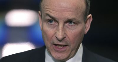 Taoiseach Micheal Martin says National Maternity Hospital concerns are no longer 'sustainable'