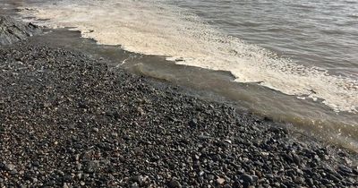 The natural phenomenon that creates strange foam on beaches