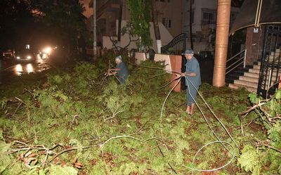 Man killed, two injured as rain, gusty winds leave trees uprooted