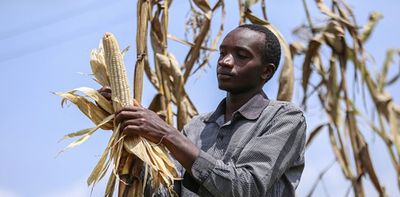 How COVID controls hit farmers in 7 low-income countries, most in Africa