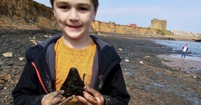 Tooth of terrifying 60ft megalodon shark washes up on UK beach and found by boy, 6