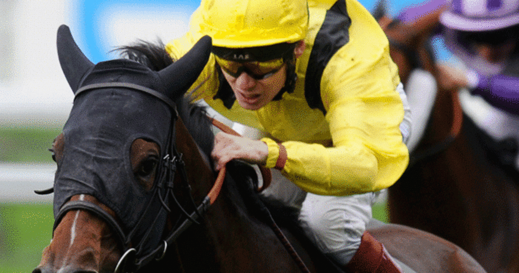 Newsboy's ITV picks from Chester and Market Rasen, plus tips from four other meetings