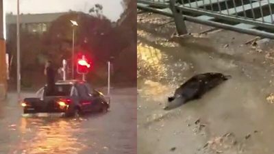 Weather warnings for Tasmania as severe thunderstorm brings flooding to Hobart, power outages and school closures