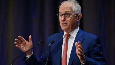Malcolm Turnbull says voters will consider independent candidates in blue-ribbon Liberal seats because party has lost its way