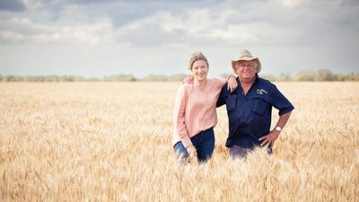 How this rainfall app could help farmers make more informed decisions