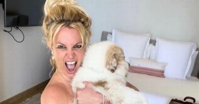 Pregnant Britney Spears confuses fans as she poses for racy snaps with dog
