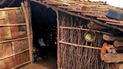 Gujarat: Two-month-old girl injured in leopard attack in Panchmahal