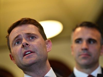 Modest fee increases tipped for SA budget