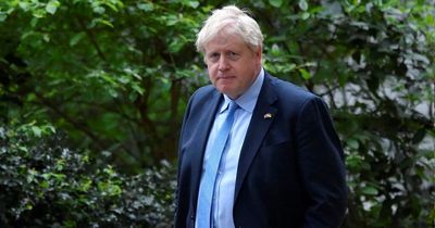 We can't wait for Johnson to go