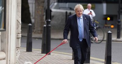 Local Election 2022: Conservatives lose 'Thatcher's favourite council' for first time since 1978