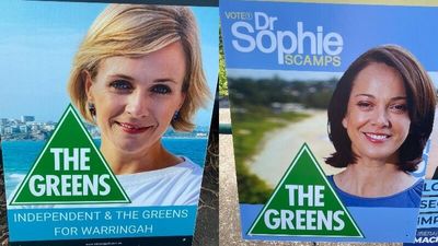 Australian Electoral Commission investigating fake signs suggesting independents are Greens