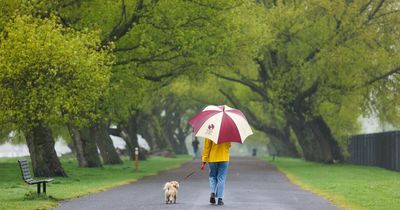 Liverpool weather: City set to be battered by rain before sunshine at the weekend