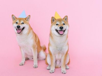 Binance Lists New Shiba Inu (SHIB) Trading Pair