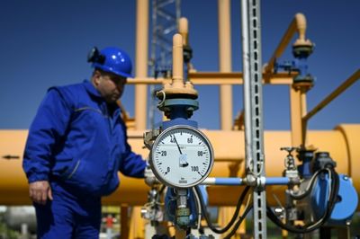 Bulgaria industry on tenterhooks after Russia gas cut