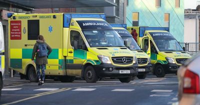 North East Ambulance service asked for more local data on response times despite top performance figures
