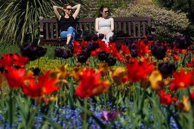 UK weather forecast: Mediterranean temperatures on the way for London