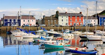 Ceredigion local elections 2022: Live updating ward results as the votes are counted