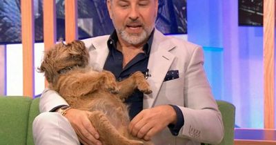 Britain's Got Talent's David Walliams slammed for 'disgusting' behaviour on The One Show