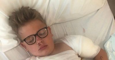 Boy rushed into surgery after dog tried to 'tear him to bits'