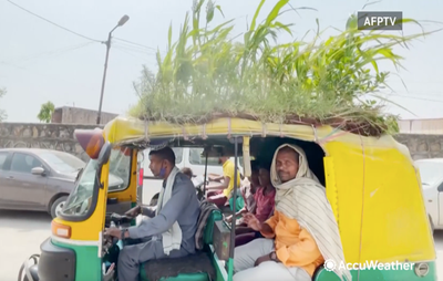 Up On The Roof: Rickshaw Driver Finds Unique Way To Beat Heat In New Delhi