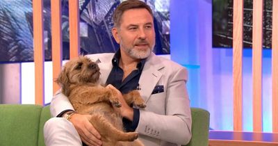 David Walliams' dog sends Twitter into meltdown as he steals the limelight on BBC's The One Show