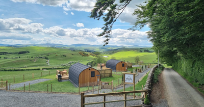 Two Scots cabins named among the best new glamping stays in the UK