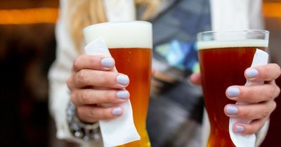 What's the difference between lagers and ales explained - learn about the great beers