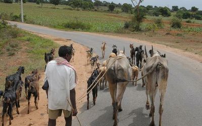 Farmers want delinking of crop loan from CIBIL score