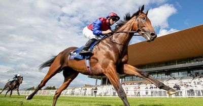 Epsom Derby favourite Luxembourg suffers slight setback