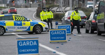 Garda checkpoints: Dozens caught breaking little-known law that carries big fine and penalty points