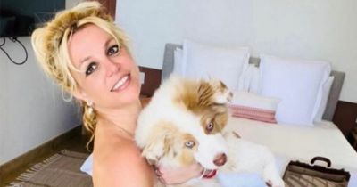 Britney Spears shares saucy nude pic as she holds pet dog to hide baby bump