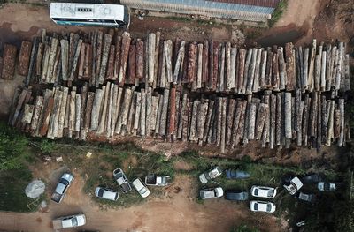 Brazil's Amazon deforestation hits April record, nearly double previous peak