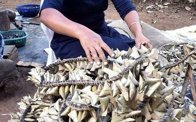 Woman set to make a blast at male bastion