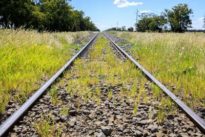 ‘The right railway in the wrong place’: Narrabri council objects to route of $14.5bn Inland Rail