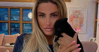 Katie Price welcomes new addition to family - calling him 'tiny bundle of cuteness'