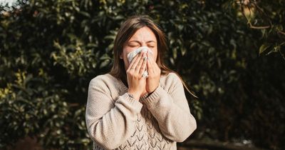 B&M releases £1 hayfever and allergy product and shoppers are calling it 'brilliant'