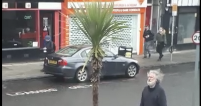 Elderly Edinburgh man puts smile on commuter's face by tending to public plants