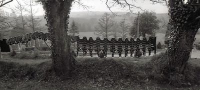 Short story: The weirdos of the local rugby club, by Airana Ngarewa