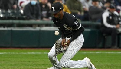 Please, White Sox, throw us a bone, an unbroken one, and start playing better