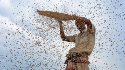 How the Russia-Ukraine war, COVID and climate change are fuelling a growing global food crisis