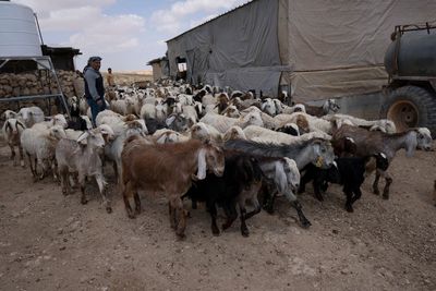 Palestinians facing eviction by Israel vow to stay on land