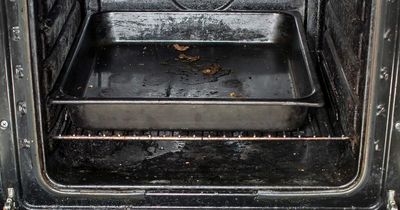 Cleaning hack mum uses garden grass to effortlessly clean her oven racks