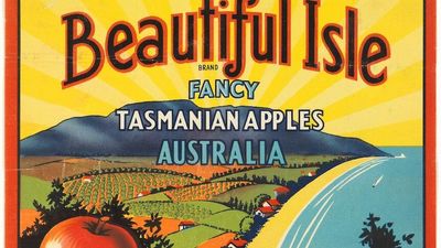 Is Tasmania still the Apple Isle? Growers crunch the numbers as domestic and export markets shrivel