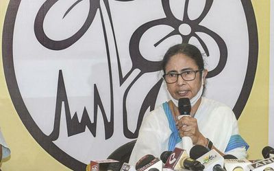 Trinamool Congress to set up ad hoc committee in Goa to strengthen base in State